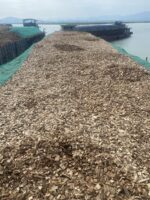 Nhiên liệu sinh khối/ Biomass fuel - Ảnh 5