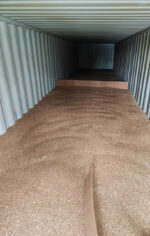 Lúa mì/ Wheat - Ảnh 3