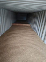 Lúa mì/ Wheat - Ảnh 4