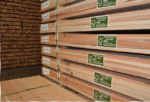 Gỗ FSC/ FSC Wood logs (FSC 100%, FSC CW)