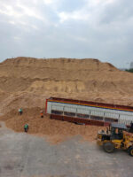 Dăm gỗ/ Wood chips - Ảnh 2