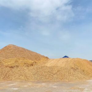 Dăm gỗ keo/ Acacia wood chips