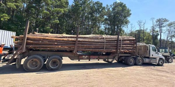 Gỗ thông Thăng Long 0813365556