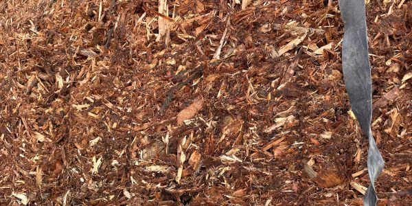 Vỏ băm 1 Thăng Long 0813365556