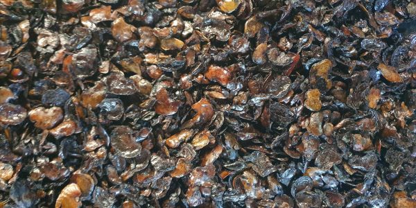 vỏ điều 4 Thăng Long 0813365556